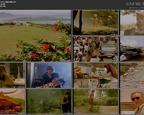 夜夫人在线观看免费第二季电视剧